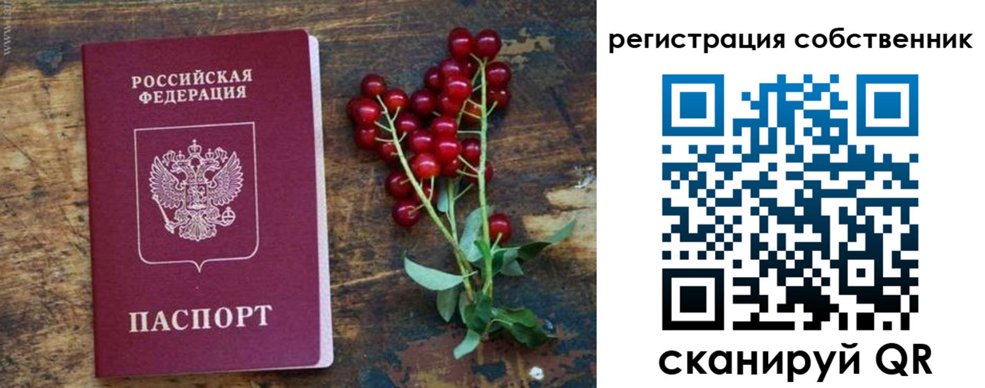 регистрация для дет. сада в Лермонтове